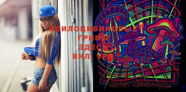 амф Михайловка