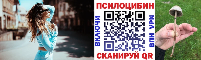 где продают   Псков  Псилоцибиновые грибы Psilocybe 
