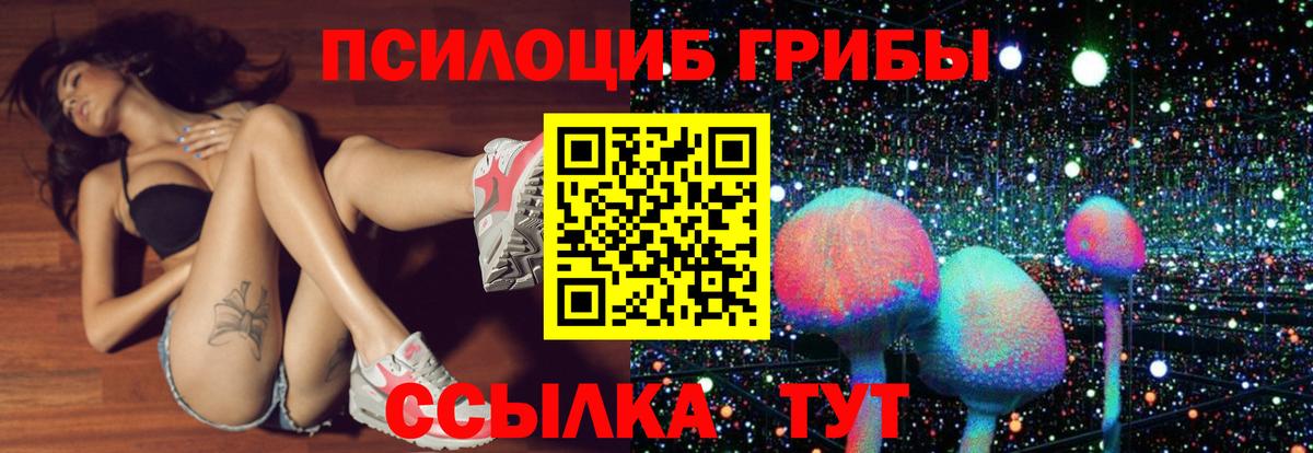 Псков  купить наркотик  Вход с VPN  Псилоцибиновые грибы ЛСД 