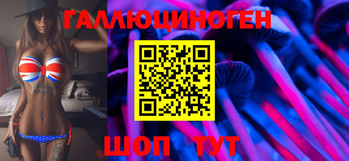 Галлюциногенные грибы Psilocybine cubensis Псков